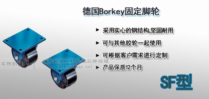SF型Borkey固定腳輪圖片 SF型Borkey固定腳輪圖片