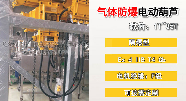 氣體防爆環(huán)鏈電動葫蘆