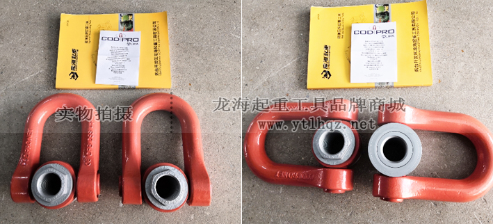盧森堡FE.DSS雙旋轉吊環(huán)使實物圖